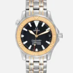 omega-seamaster-diver-300m-2453-50-imitation-watch-the-accessible-side-of-luxury